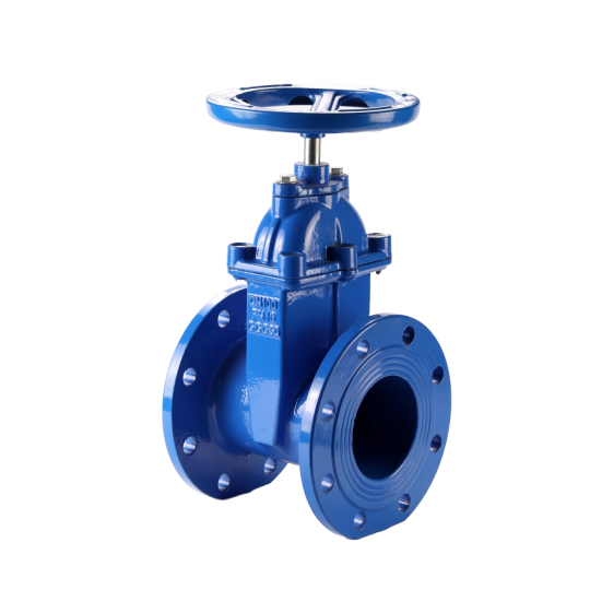 Van Cửa Ty Chìm Mặt Bích Pn10