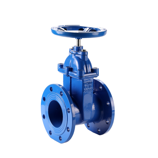 Van Cửa Ty Chìm Mặt Bích Pn10