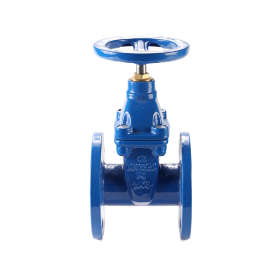 Van Cửa Ty Chìm Mặt Bích Pn16