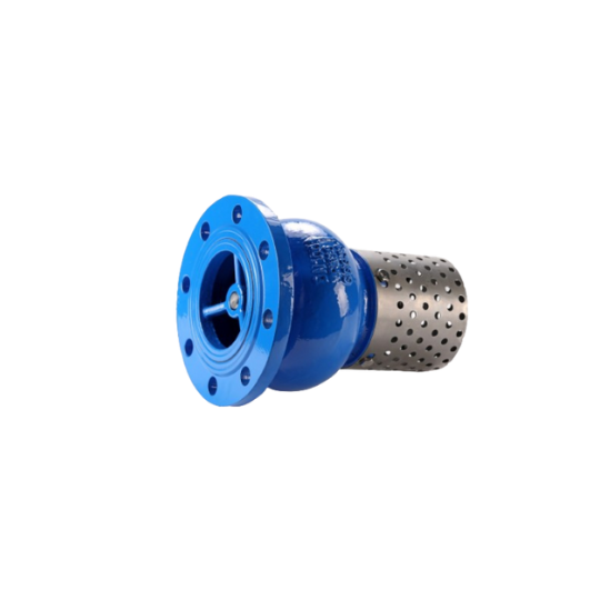 Rọ Bơm Lưới Inox Mặt Bích Pn16