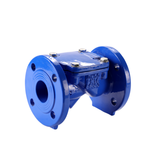Van Một Chiều Mặt Bích Pn16