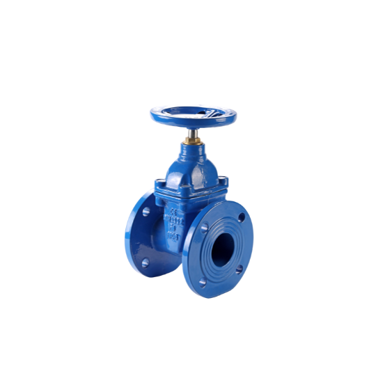 Van Cửa Ty Chìm Mặt Bích Pn16