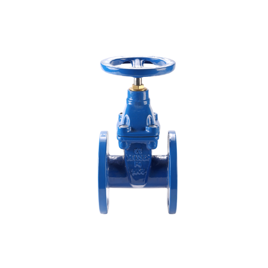 Van Cửa Ty Chìm Mặt Bích Pn16